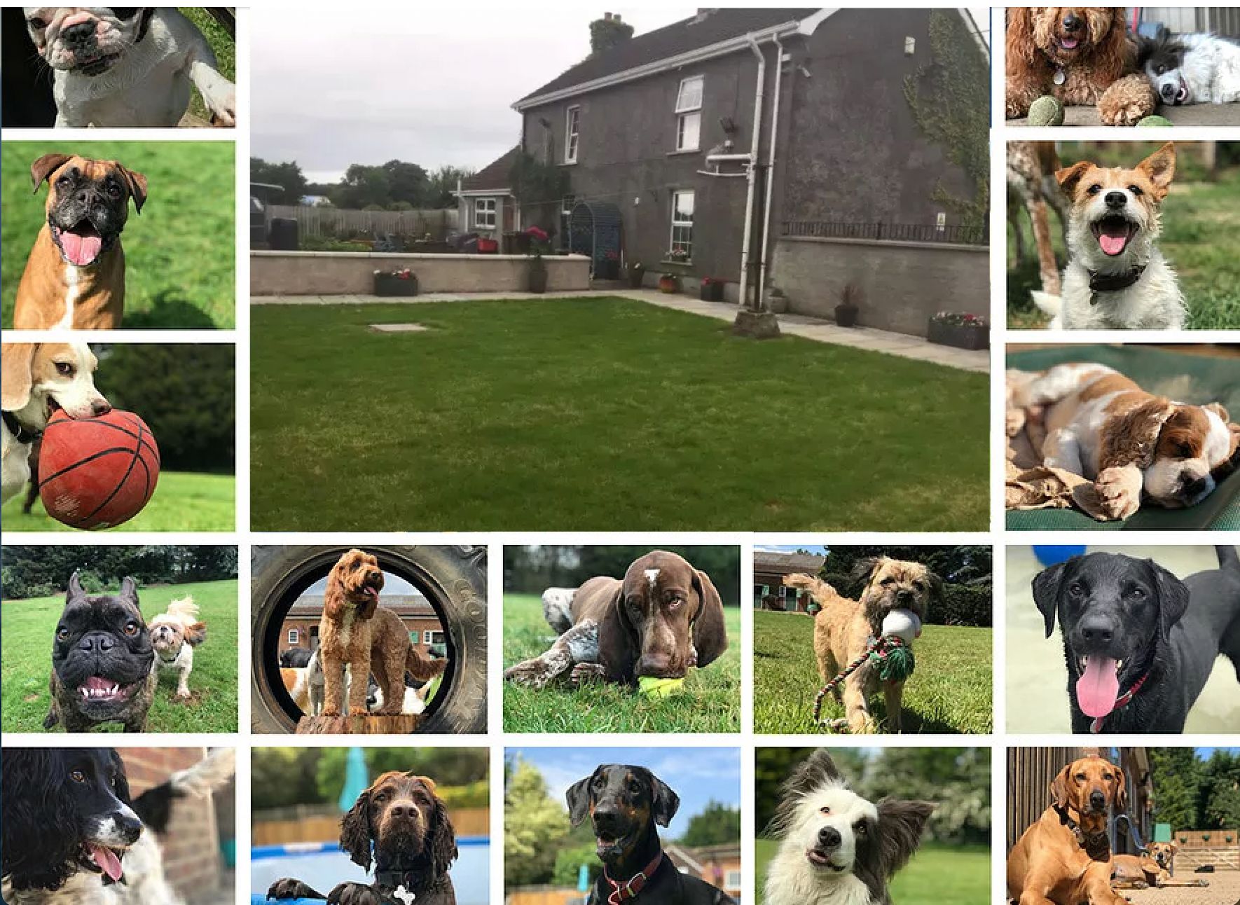 Bed and Biscuit Dog Kennels - Boarding Kennels Ballymena