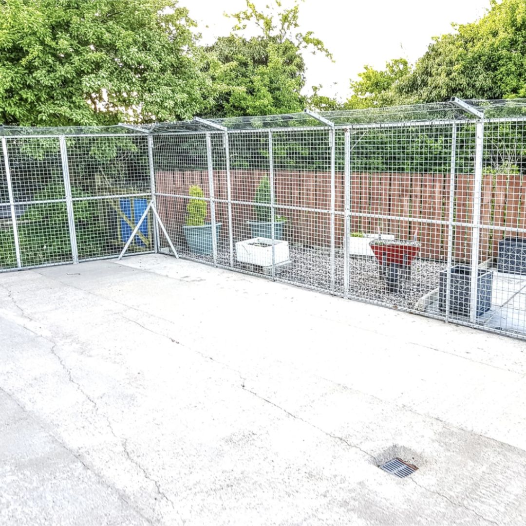 Extra Large Exercise Yard with Enclosed Kennels to Rear